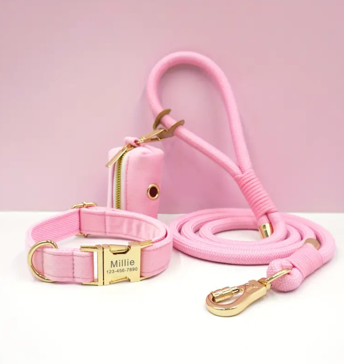 Premium Leather Collar